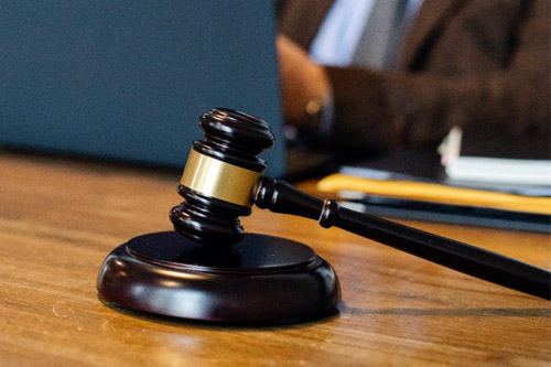 Destituição do Poder Familiar 2