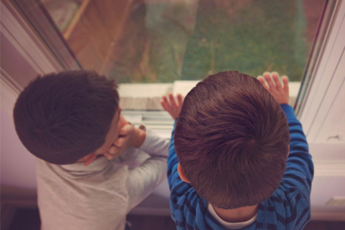 passo a passo adocao 3