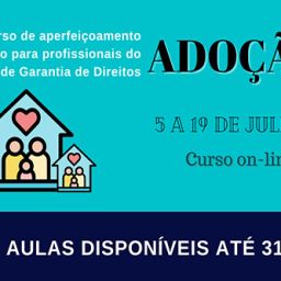 Curso de aperfeicoamento em adocao capa