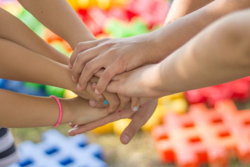 vínculo família 4